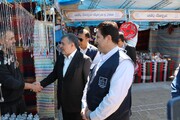 صنایع‌دستی ایلام نشان‌دهنده یک ظرفیت نهفته و بالقوه در استان است