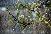 باران‌های فصلی کهگیلویه و بویراحمد را فرا می‌گیرد