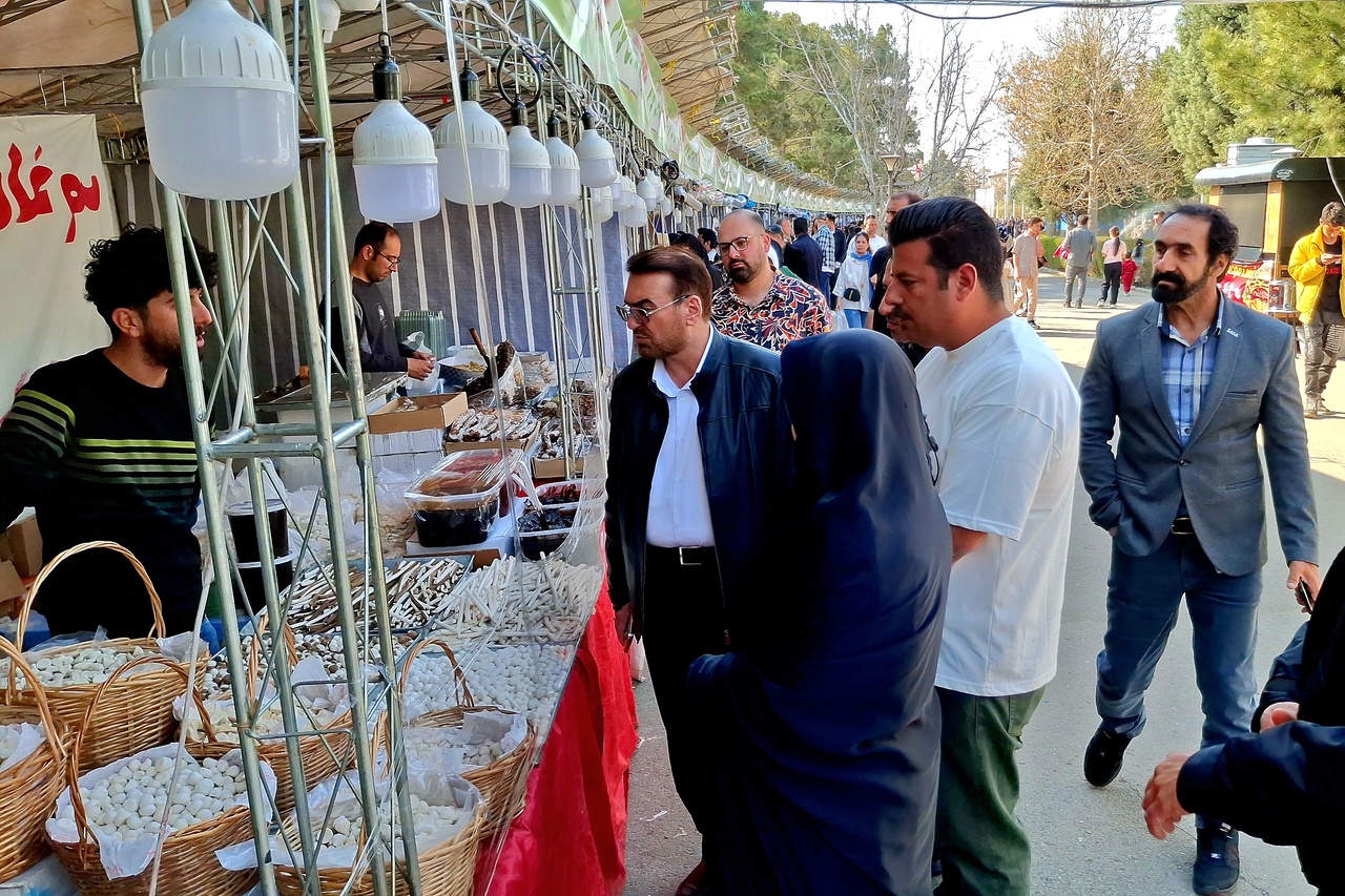 بازدید سرپرست ادارهکل میراثفرهنگی البرز از نوروزگاه کاخ مروارید کرج