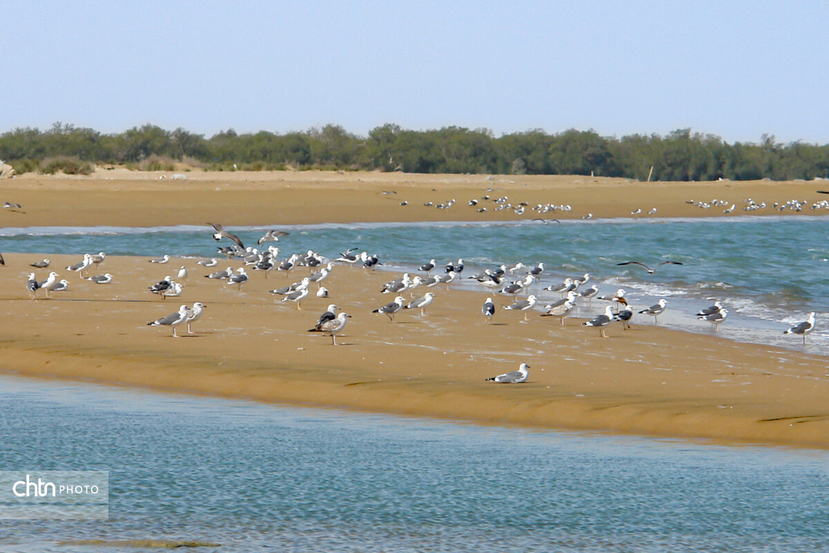 سیستان و بلوچستان؛ نگین پنهان گردشگری ایران در نوروز ۱۴۰۴/ نوروزی امن و پرتردد در سرزمین جواهرات ناشناخته