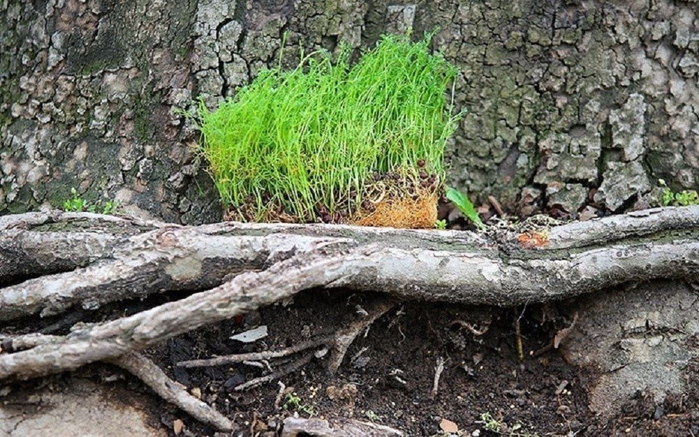 سیزده آذربایجان‌شرقی بدون تلفات رانندگی بدر شد/ کاهش تلفات رانندگی نسبت به سال گذشته