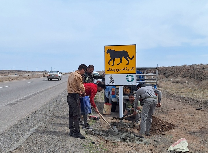 هیچ یوزی در محور عباس‌آباد تلف نشد