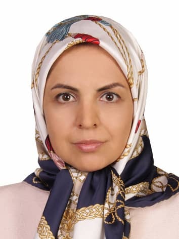 گردشگری تالابی در جنگل حرای سهیلی، فرصتی برای حفاظت و توسعه پایدار