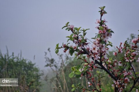 مسیر بهشت، گذر از آفتاب و مه