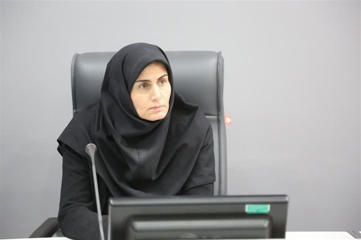 برقراری پروازهای خارجی از فرودگاه زنجان پیگیری می‌شود/ راه‌اندازی زنجان ایرلاین اولویتی مهم در استان