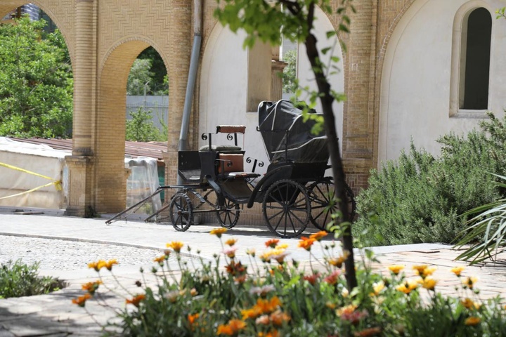 بهار مسعودیه
