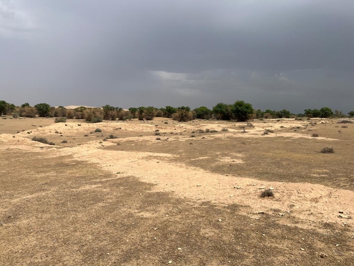 بازدید رئیس پژوهشگاه میراث‌فرهنگی از محوطه باستانی جُلیعه اُمِّ‌الدِّبِس/ تأکید بر اهمیت ساختار بزرگ موسوم به دارالاماره