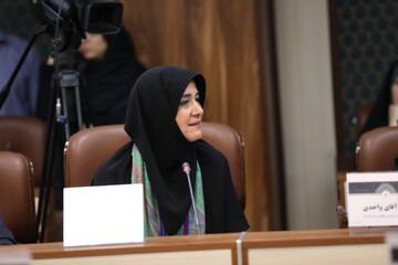 صنایع‌دستی، پیشران اقتصاد هویت‌بنیان/ ضرورت حمایت ساختاری از هنرمندان، صنعتگران و صادرکنندگان