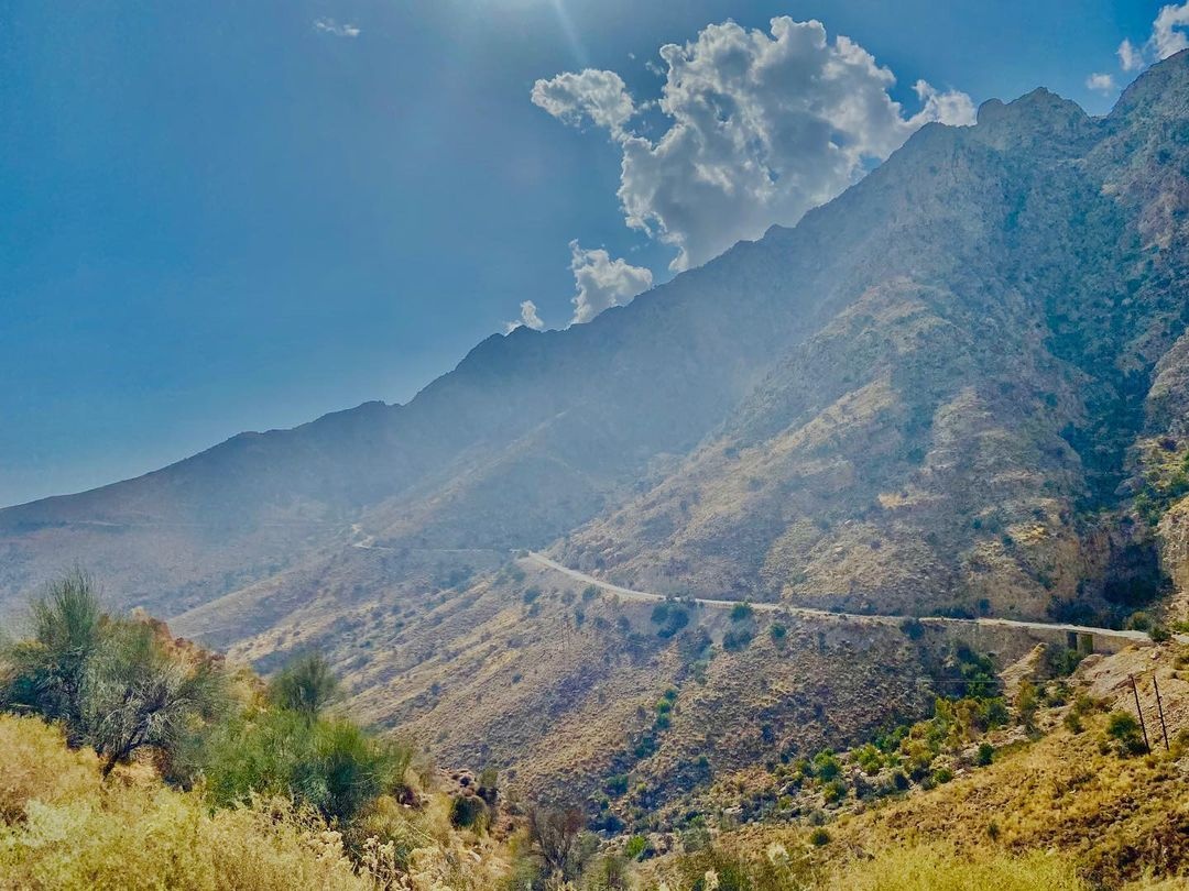 کوه گنو؛ مقصدی چهارفصل برای گردشگران و طبیعتگران/ گوهر درمانی جنوب