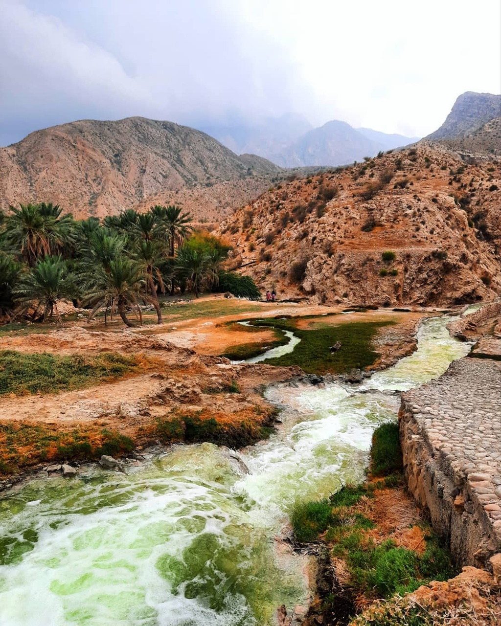 کوه گنو؛ مقصدی چهارفصل برای گردشگران و طبیعتگران/ گوهر درمانی جنوب
