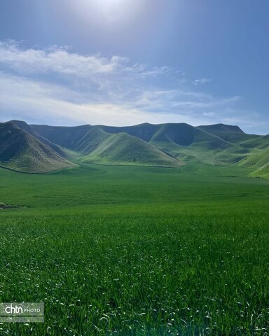 خالدنبی