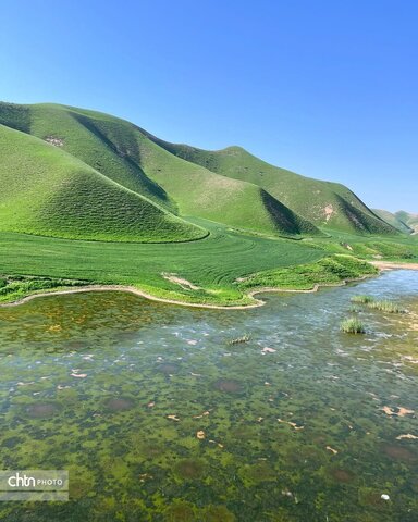 خالدنبی