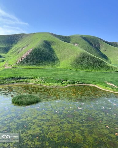 خالدنبی