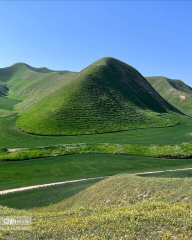 خالدنبی