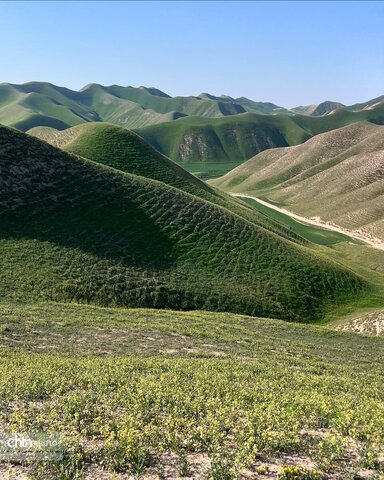 خالدنبی