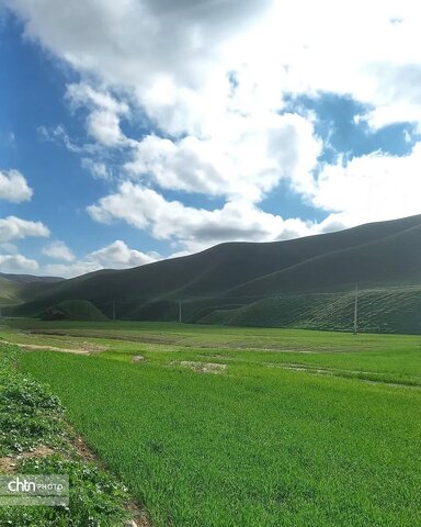 خالدنبی
