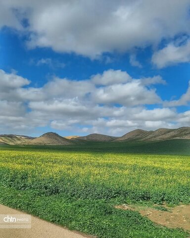 خالدنبی