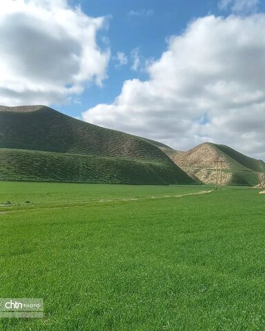 خالدنبی