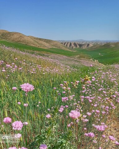 خالدنبی
