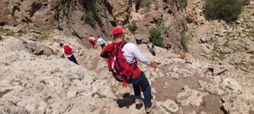 گردشگران در کهگیلویه و بویراحمد مراقب گزش حشرات و جانوران در طبیعت باشند