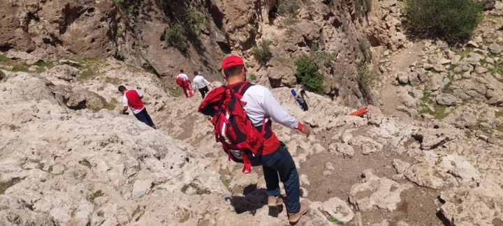 گردشگران در کهگیلویه و بویراحمد مراقب گزش حشرات و جانوران در طبیعت باشند