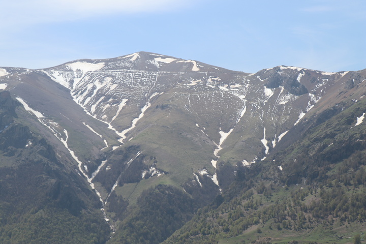 تورخبری