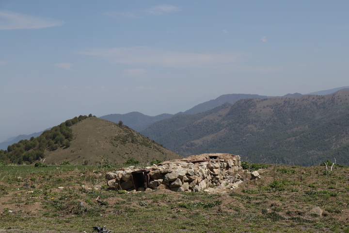 تورخبری