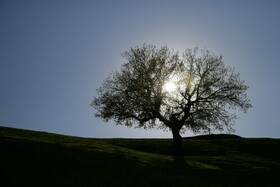 بازفت؛ بهشت سبز چهارمحال و بختیاری در اردیبهشت