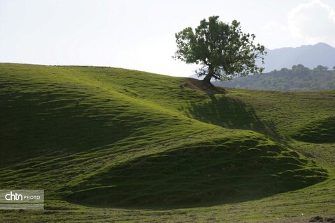 دیدن طبیعت بهاری از ارتفاعات بازفت چهارمحال و بختیاری زیباتر است