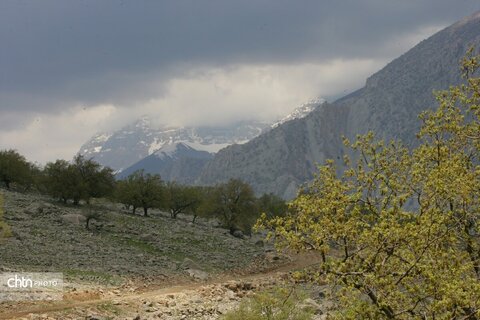 دیدن طبیعت بهاری از ارتفاعات بازفت چهارمحال و بختیاری زیباتر است