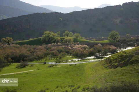 دیدن طبیعت بهاری از ارتفاعات بازفت چهارمحال و بختیاری زیباتر است