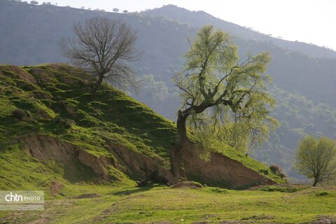 دیدن طبیعت بهاری از ارتفاعات بازفت چهارمحال و بختیاری زیباتر است