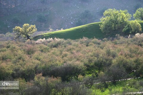دیدن طبیعت بهاری از ارتفاعات بازفت چهارمحال و بختیاری زیباتر است