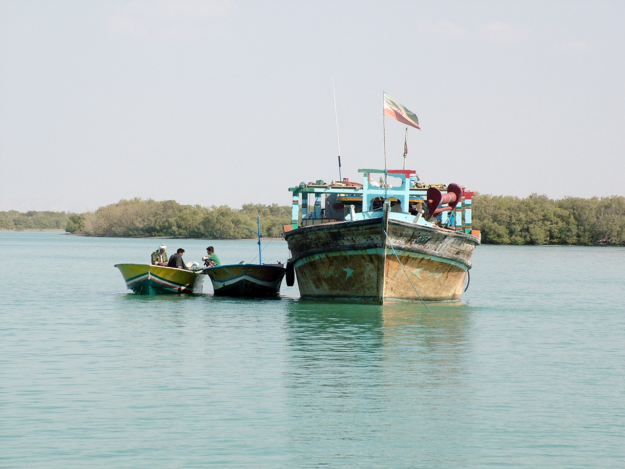 خور آذینی؛ سرزمین مانگروها/ از مهمترین زیستگاههای پرندگان مهاجر در جنوب کشور