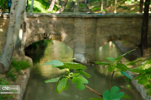 مادی های اصفهان