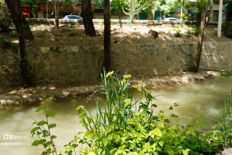 مادی های اصفهان