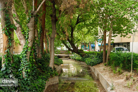 مادی های اصفهان