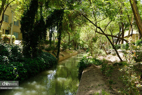 مادی های اصفهان