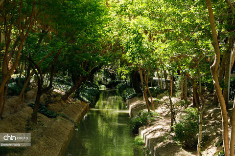 مادی های اصفهان