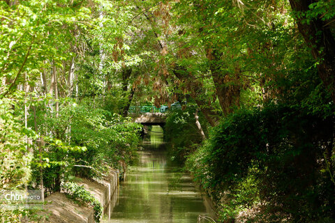 مادی های اصفهان