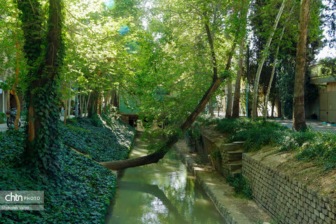 مادی های اصفهان