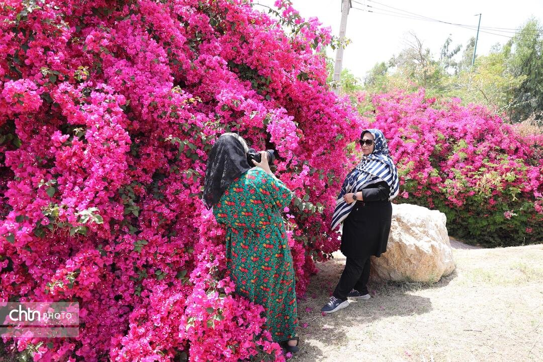 تالاسمی‌های خوزستان سفیران گردشگری شدند