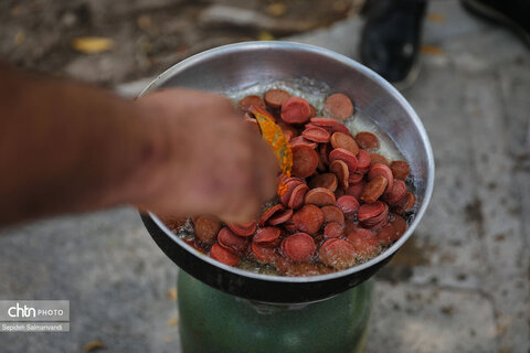 اجرای دومین گشت تخصصی گردشگری مبتلایان به تالاسمی در خوزستان