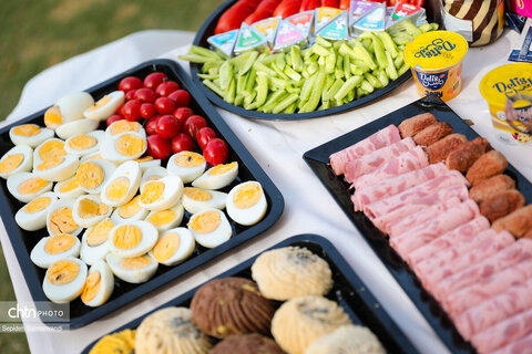 اجرای دومین گشت تخصصی گردشگری مبتلایان به تالاسمی در خوزستان