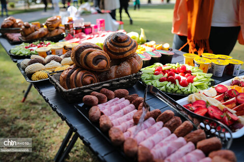 اجرای دومین گشت تخصصی گردشگری مبتلایان به تالاسمی در خوزستان