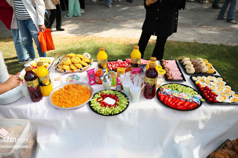 اجرای دومین گشت تخصصی گردشگری مبتلایان به تالاسمی در خوزستان