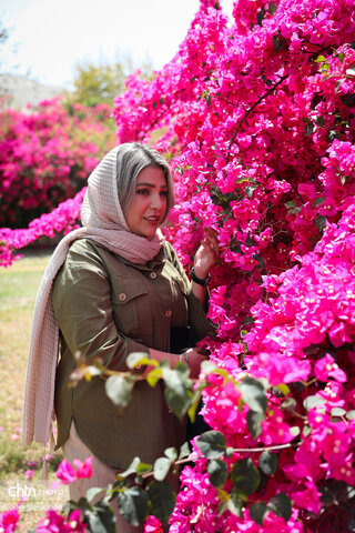 اجرای دومین گشت تخصصی گردشگری مبتلایان به تالاسمی در خوزستان