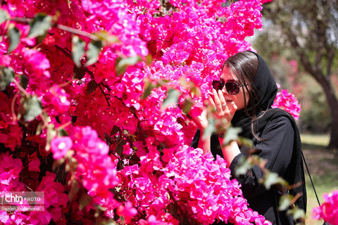 اجرای دومین گشت تخصصی گردشگری مبتلایان به تالاسمی در خوزستان