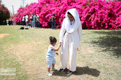 اجرای دومین گشت تخصصی گردشگری مبتلایان به تالاسمی در خوزستان