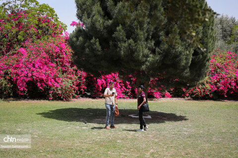 اجرای دومین گشت تخصصی گردشگری مبتلایان به تالاسمی در خوزستان